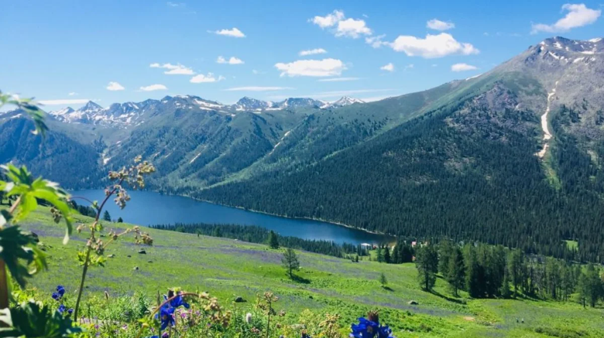 Катонқарағай ауданы