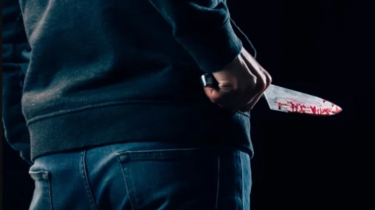 Петропавлда бір отбасын бауыздап кеткен үш адам сотталды