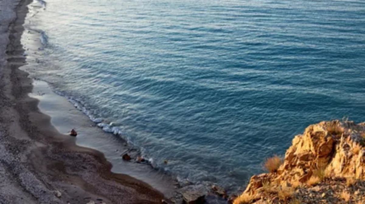 "Қазақмыс" Балқаштың экожүйесін сақтауға $5 млн бөледі