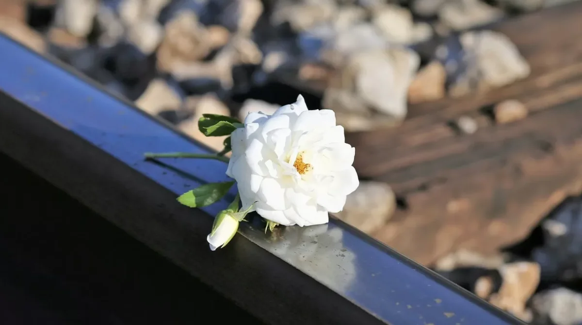 Алматыда оқушы суицид жасады