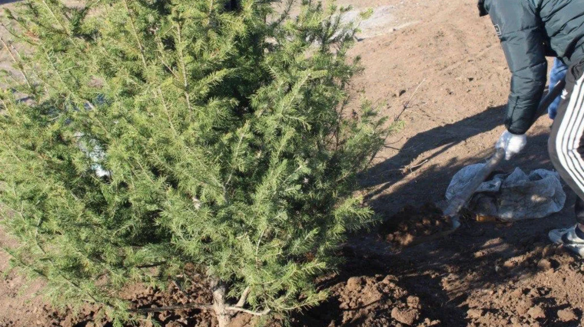 Қазақстандағы экомәдени жұмысқа 90 мың ерікті тартылды