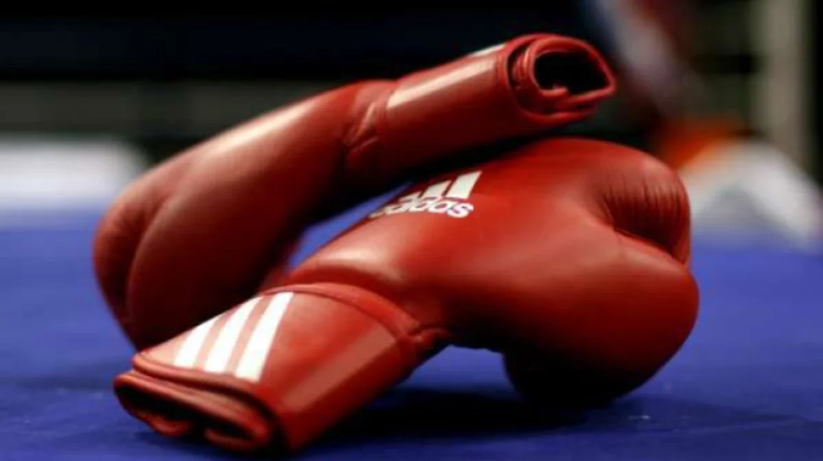 Бокстан 2025 жылғы әлем кубогының кезеңі Қазақстанда өтеді