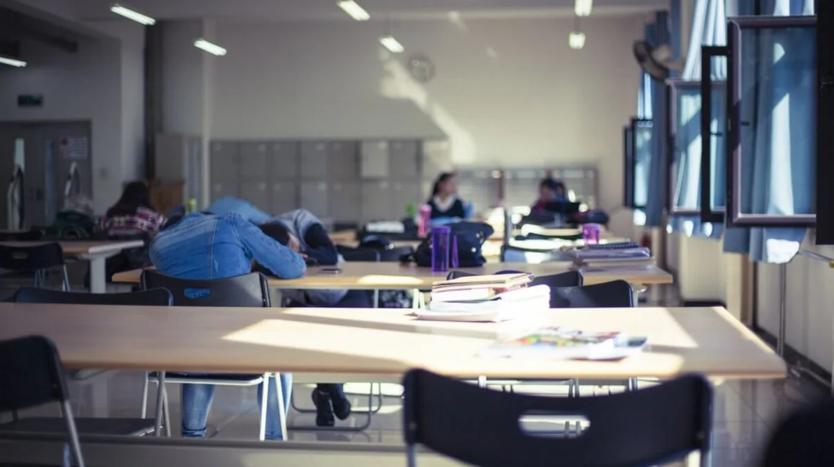 Видеокамеры предлагают установить в кабинетах школьных директоров