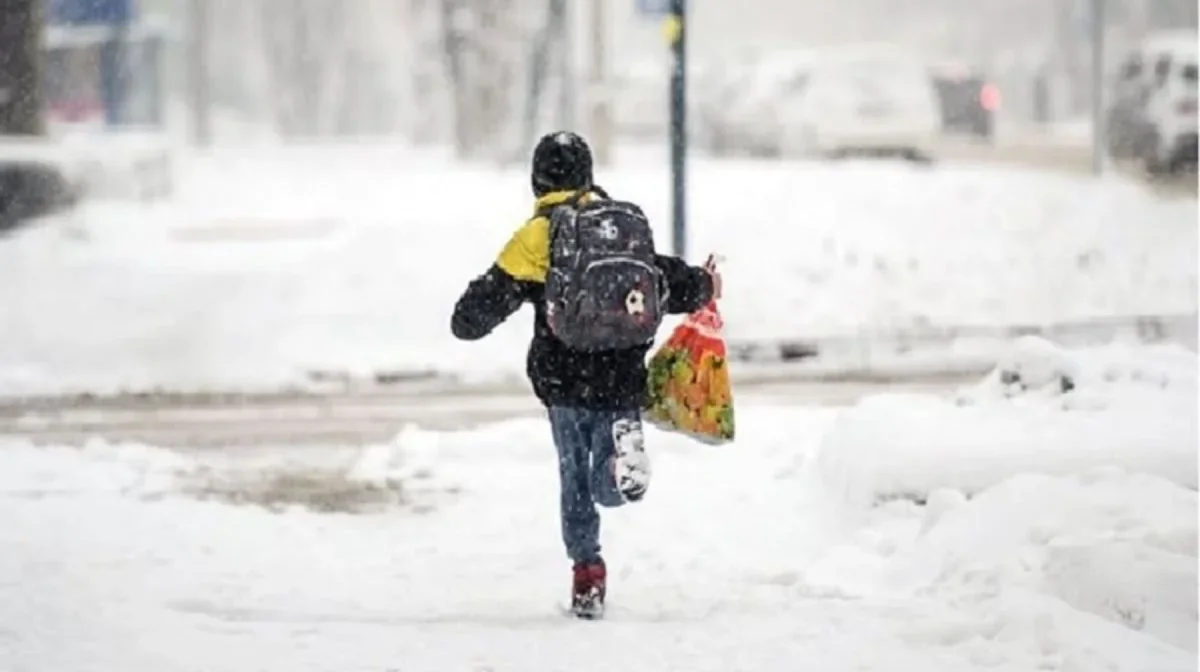 Оқушылар қысқы каникулда қосымша 7 күн демалатын болды