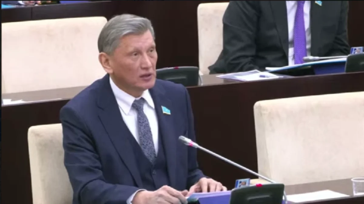 «Білмеген болып отыра береміз бе?». Нұртөре Жүсіп жасөспірімдердің жүктілігі 1,5 есе артуына алаңдаушылық білдірді