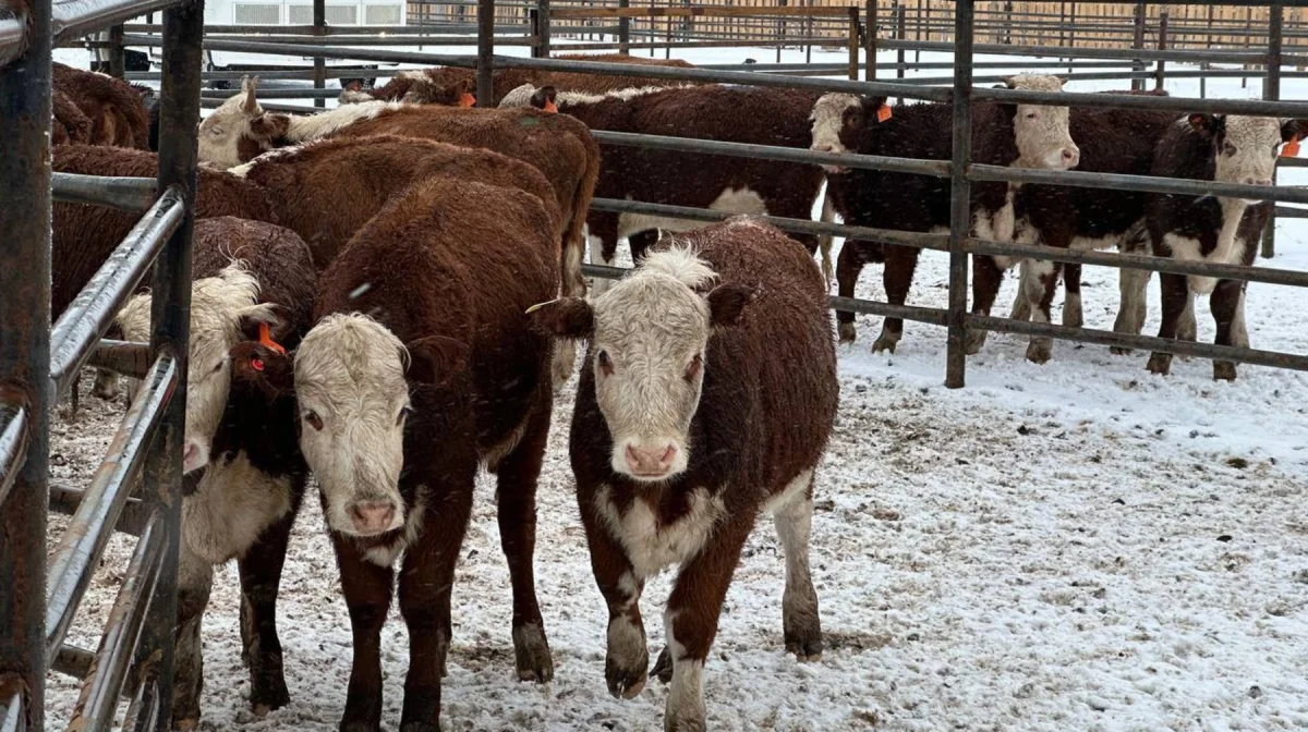 Министрлік малшыларға ескерту жасады