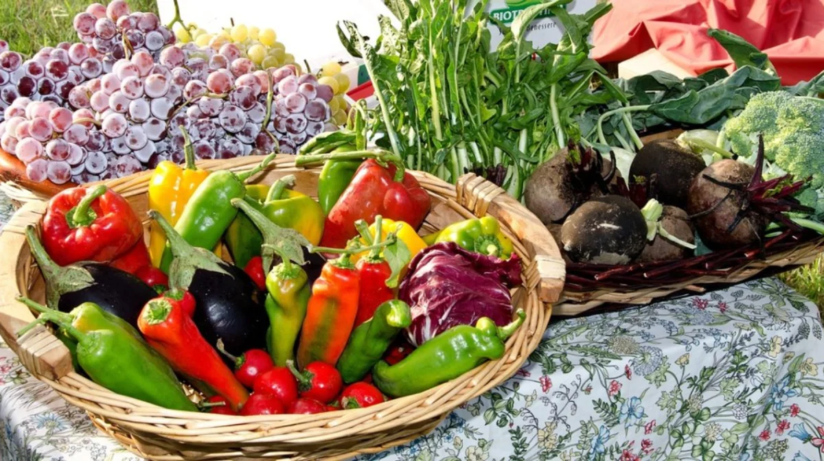 Ярмарка в Астане: что купить и где найти