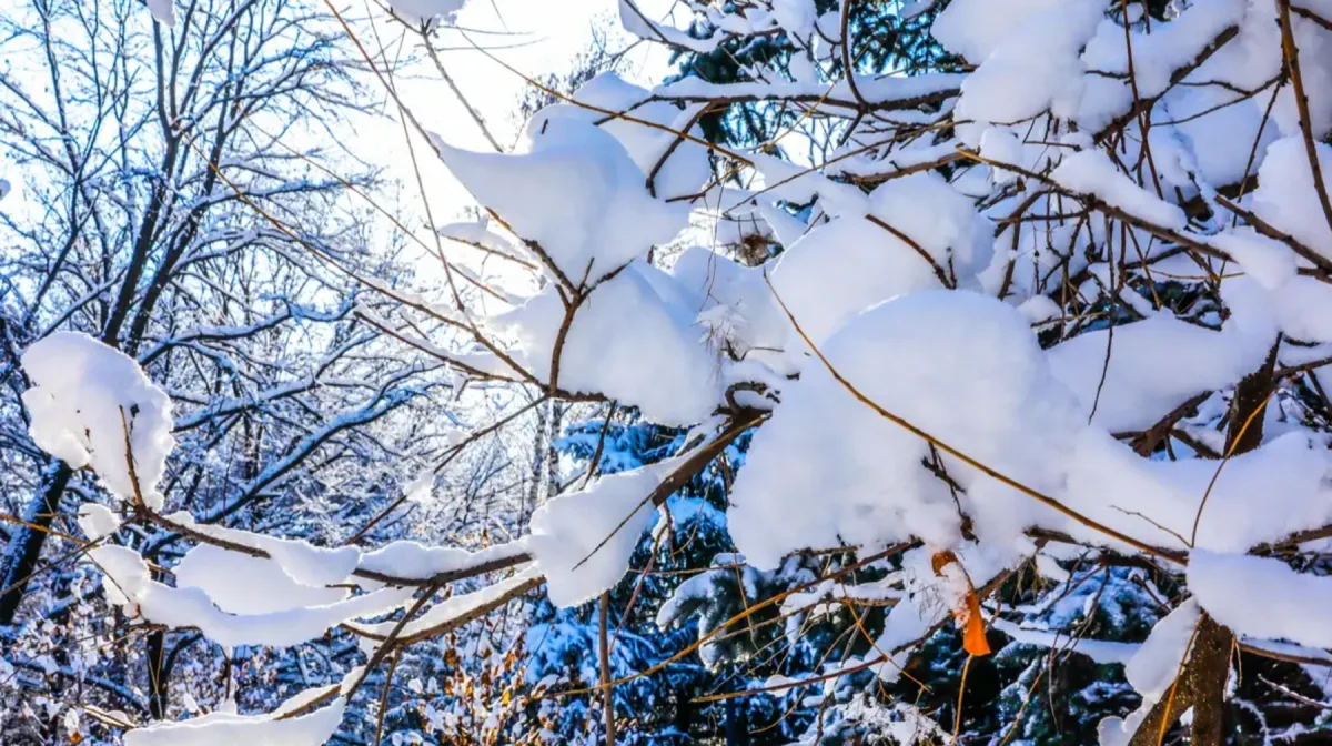 Бүгін елімізде ауа райы қандай болады?