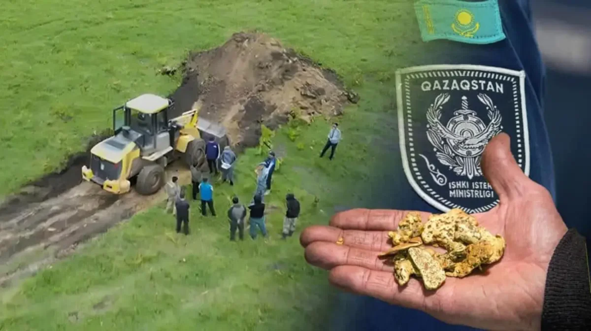В Костанайской области на пастбище добывали золото