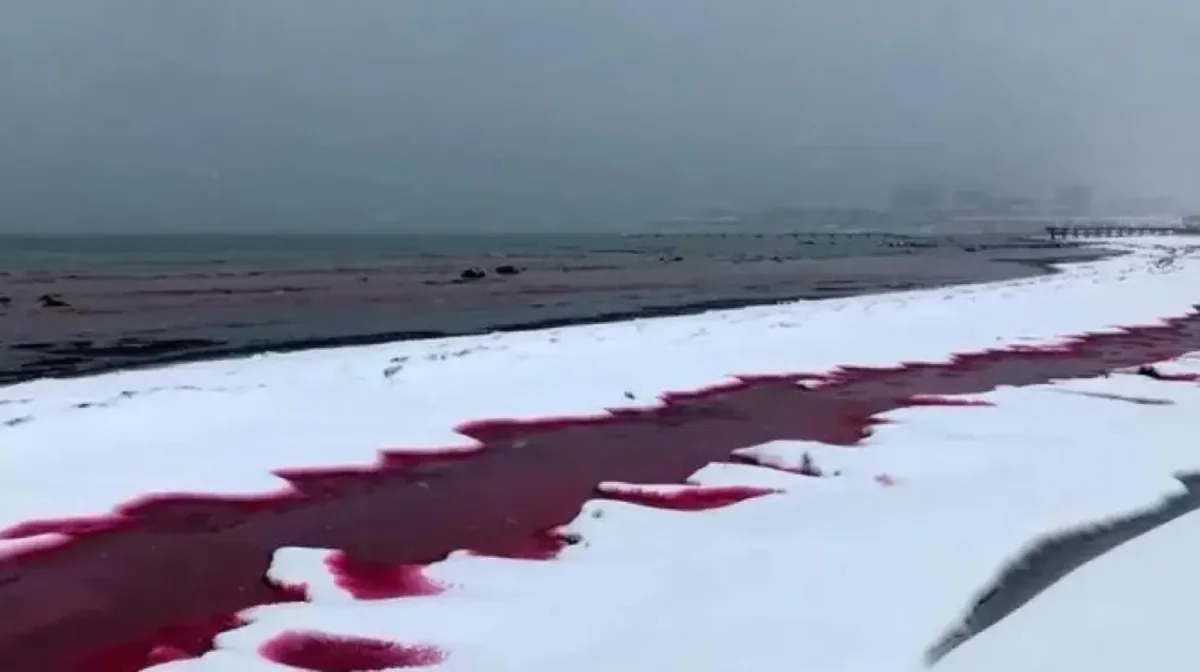 Каспий стал красным: жители Актау увидели необычное природное явление