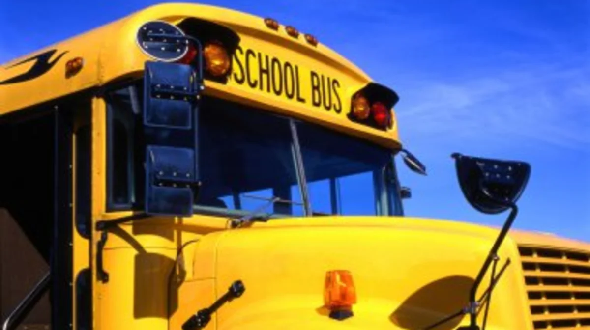 Девочку насмерть сбил водитель школьного автобуса в Акмолинской области