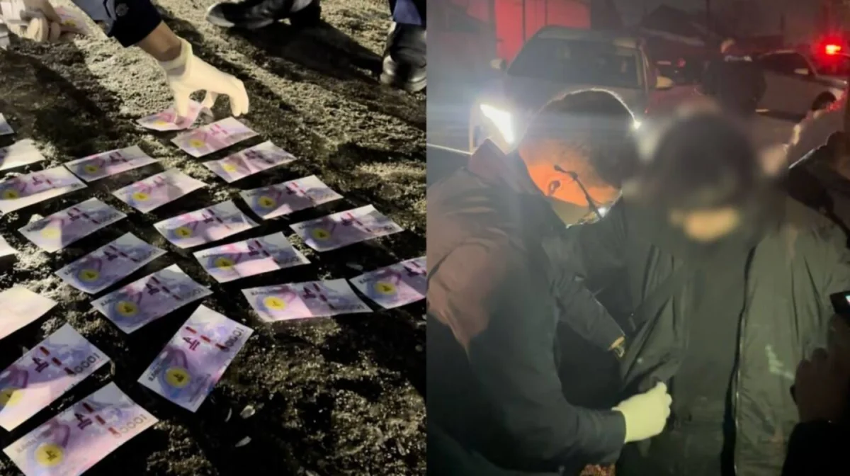 Алматы облысында жасөспірімді ұрлап, 5 млн теңге талап еткен (ВИДЕО)