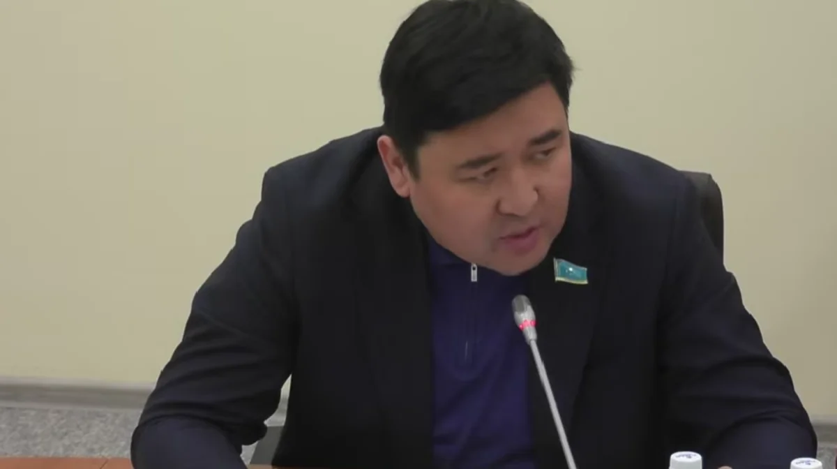 «Еңкілдеп еңірегің келеді». Депутат министрліктің берген жауабына күйінді