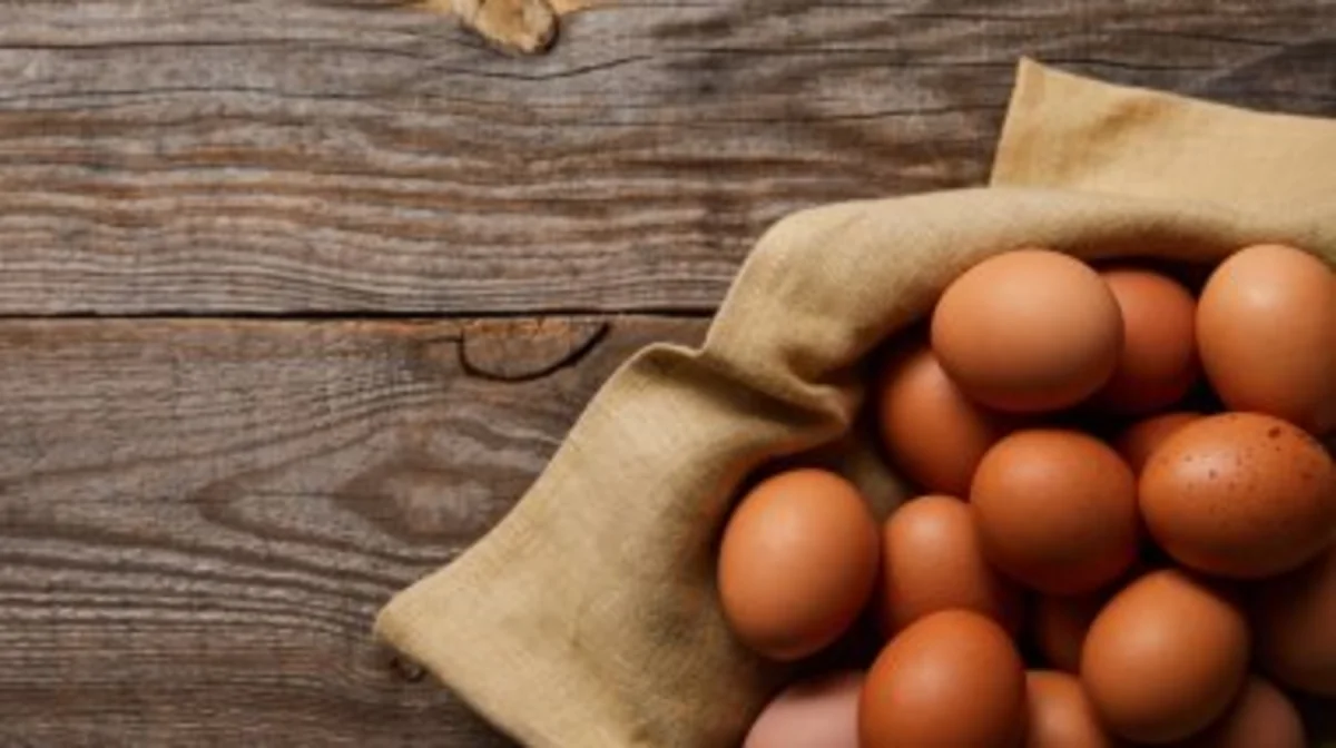 Минсельхоз рассмотрит запрет на ввоз яиц в Казахстан
