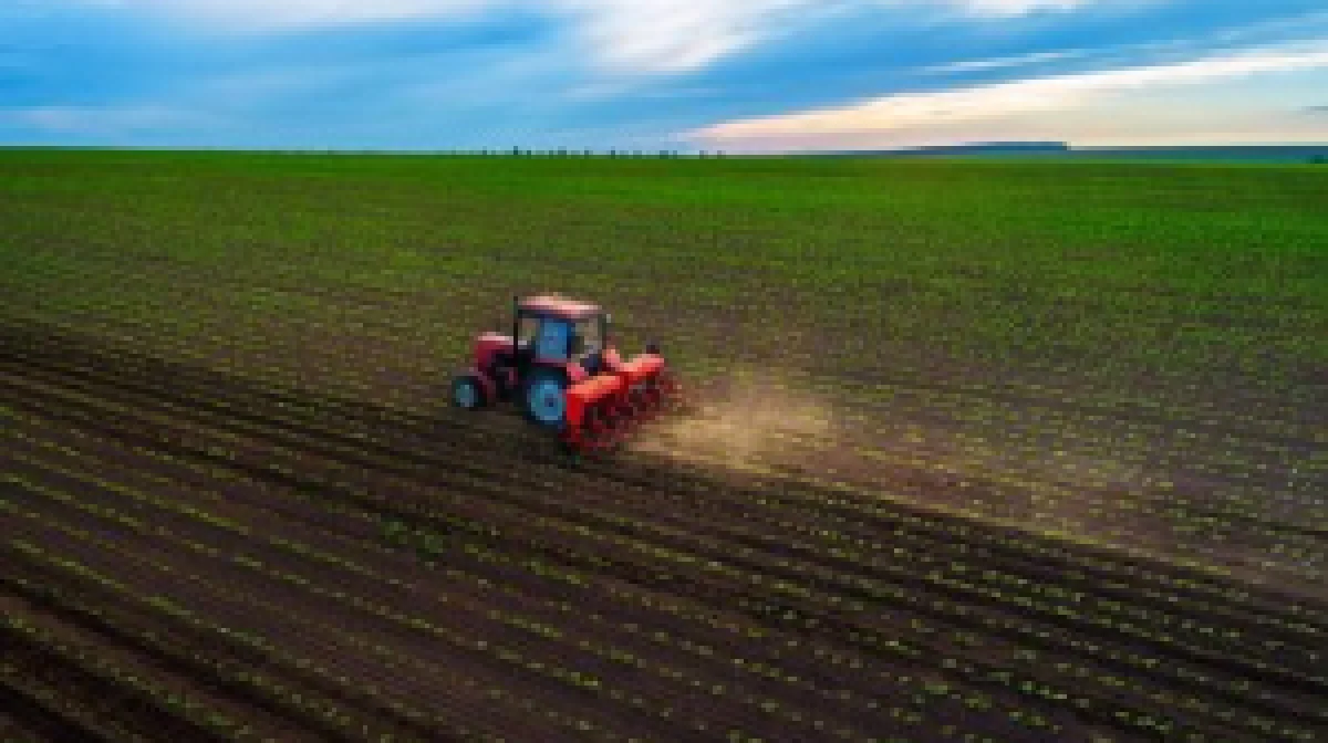 Үкімет шаруаларды қолдауға 116 млрд теңгеден астам қаражат бөлді