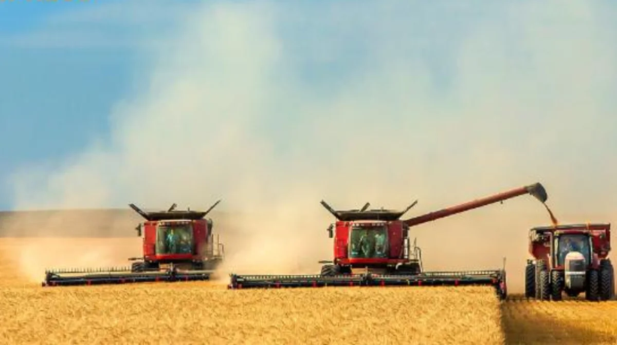 Биыл 8 млн гектар егіс алқабы жеңілдікпен қаржыландырылады