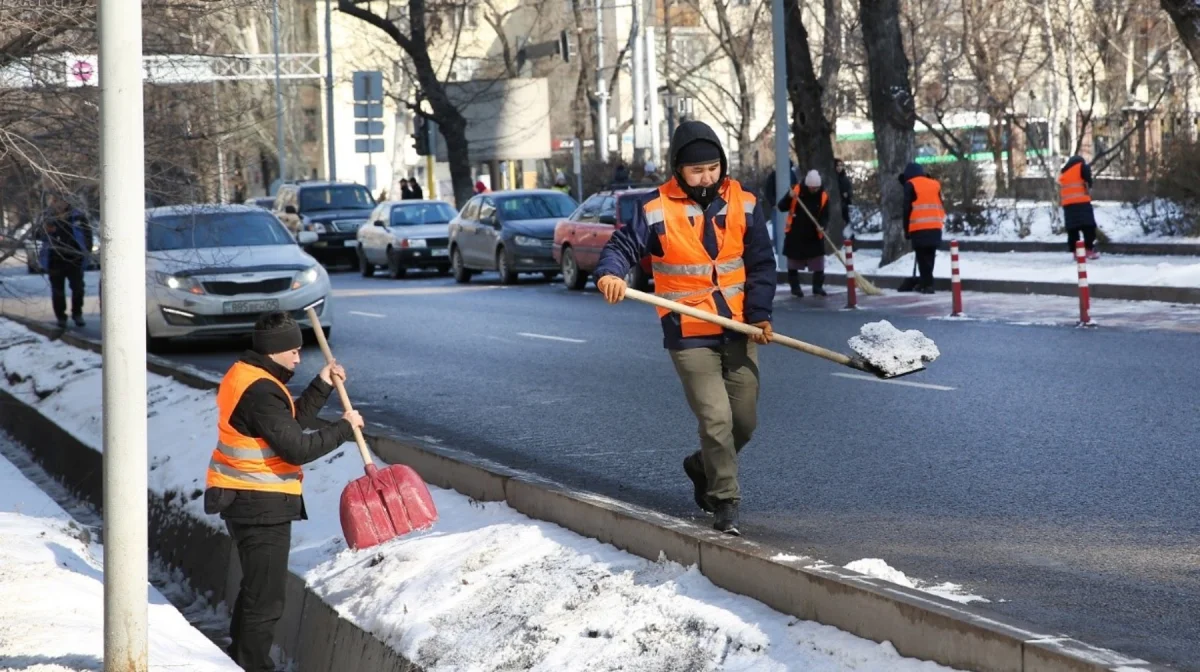 «Алматы – біздің ортақ үйіміз»: қала тұрғындары экологиялық науқанға қатысып жатыр