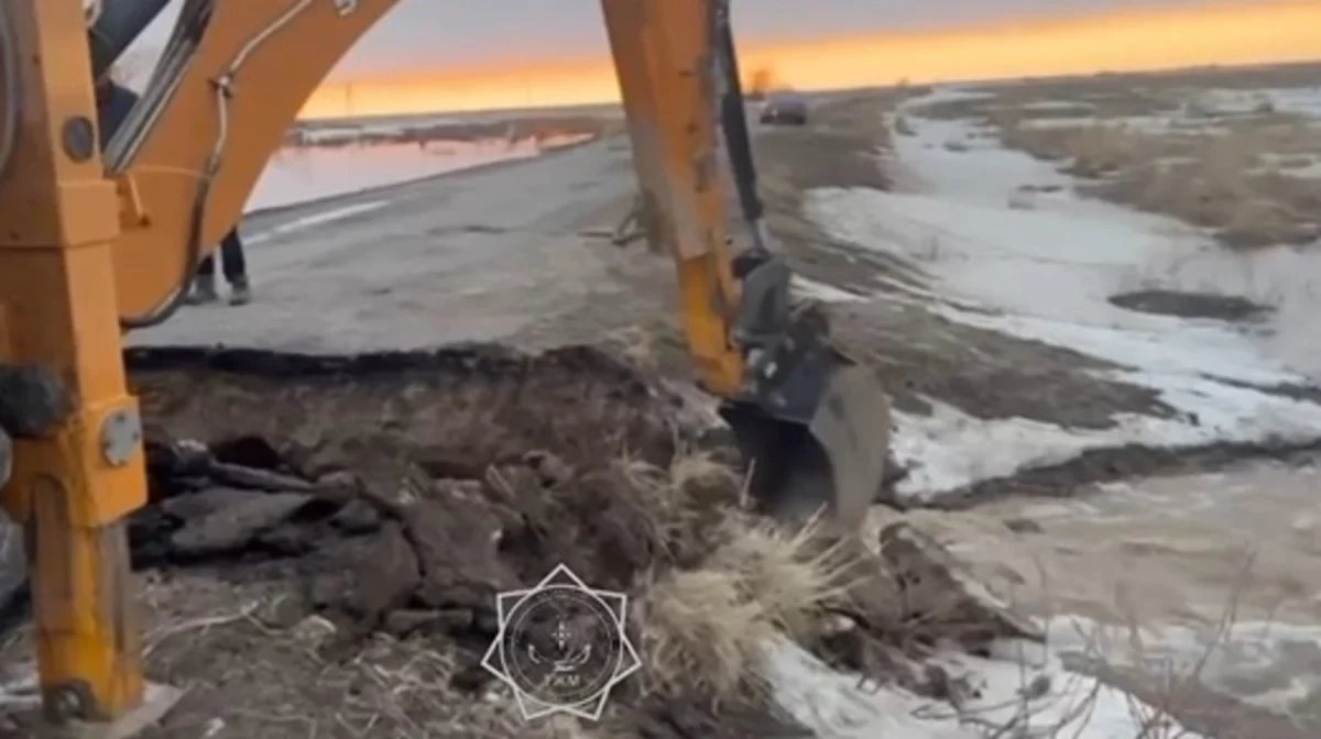 Талые воды разрушили дорогу в области Жетысу