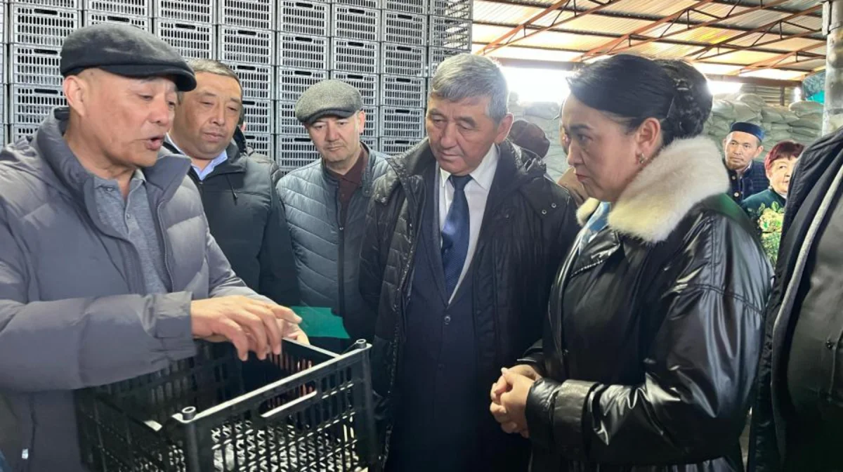 Алматы облысында пластик жәшік шығаратын цех ашылды