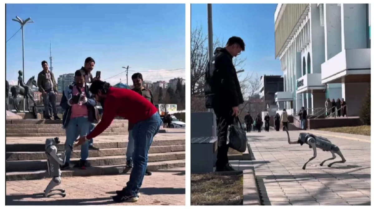 Алматы көшелеріне серуенге шыққан робот-ит жұртты таңғалдырды (ВИДЕО)