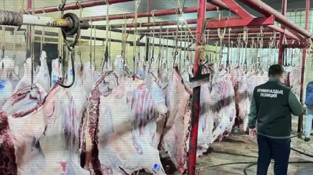 Бірнеше қалада ет өңдейтін заңсыз цехтар анықталды