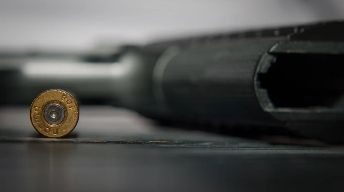 Алматинцев призывают сдать оружие в полицию