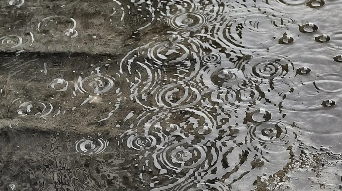 Сильные дожди прогнозируют в Алматы и предгорных районах