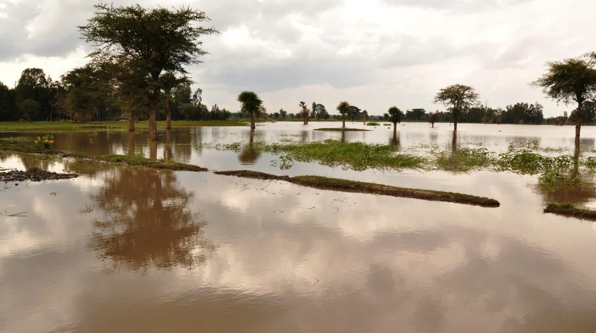 Река в Бесагаше вышла из берегов: В подтоплении домов обвинили сельчан