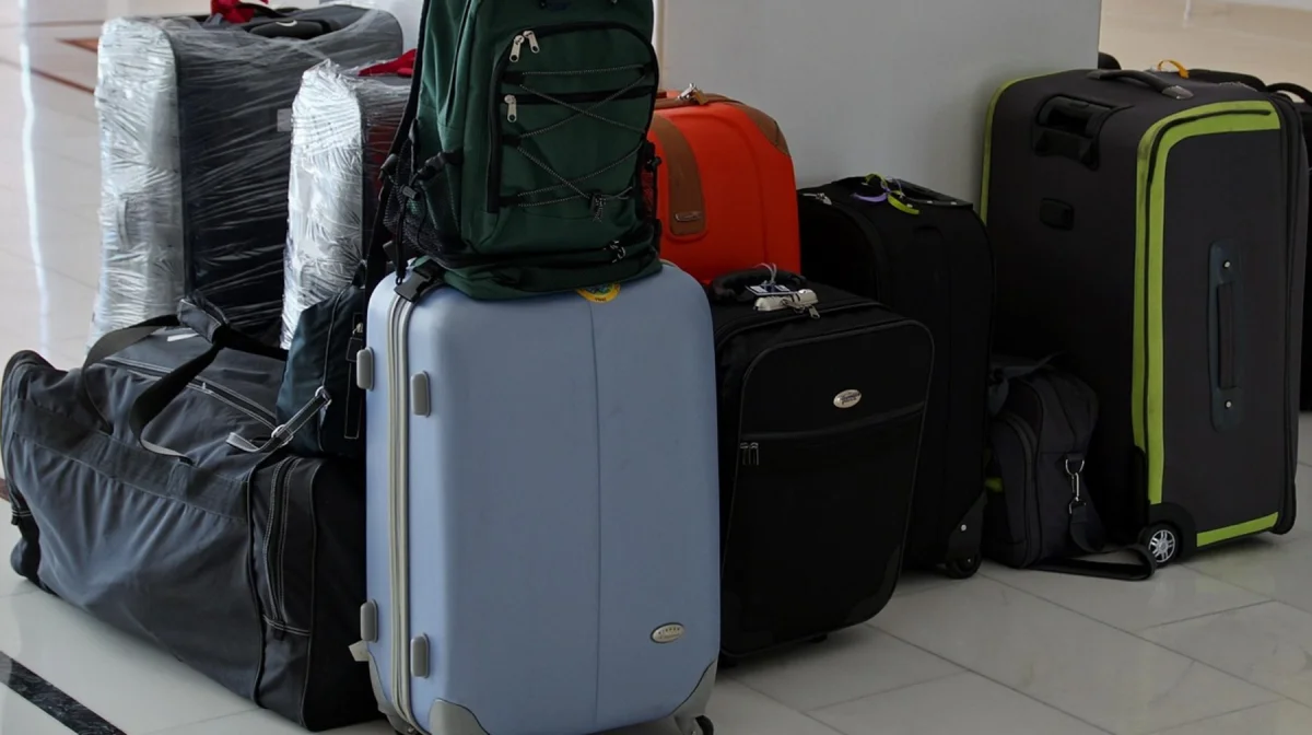 Сколько этнических казахов вернулись на родину