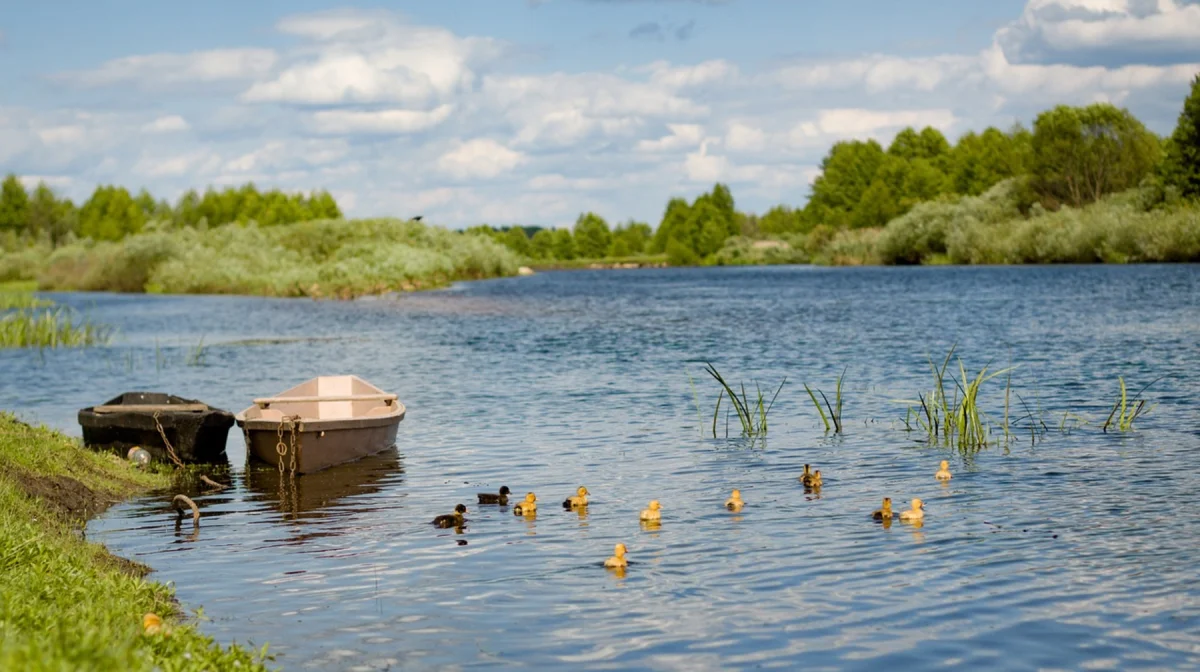 30-градусная жара: в каких регионах Казахстана будет тепло в апреле