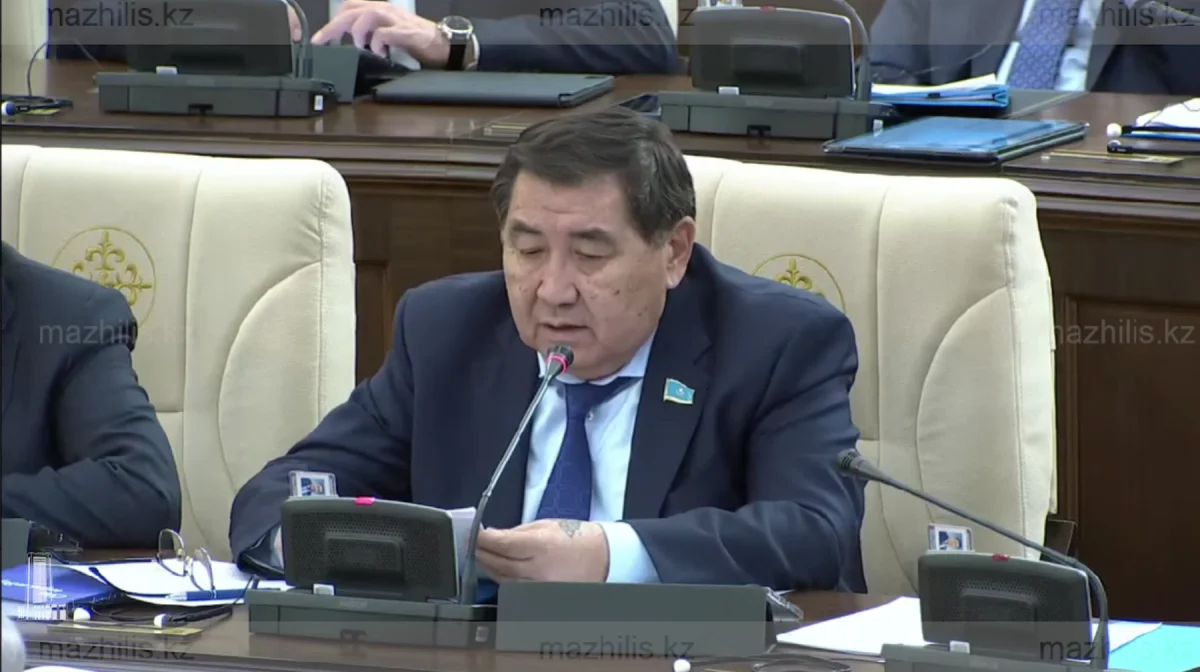 Туды қорлағандардың артында тұрғандарды жазалау керек – Ермұрат Бапи