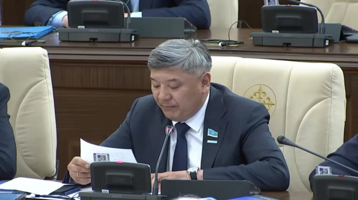 «Үкімет түрлі ұйымдардың қас-қабағына қарауды қою керек»: Депутат ЛГБТ насихатына заңмен тосқауыл қоюды талап етті