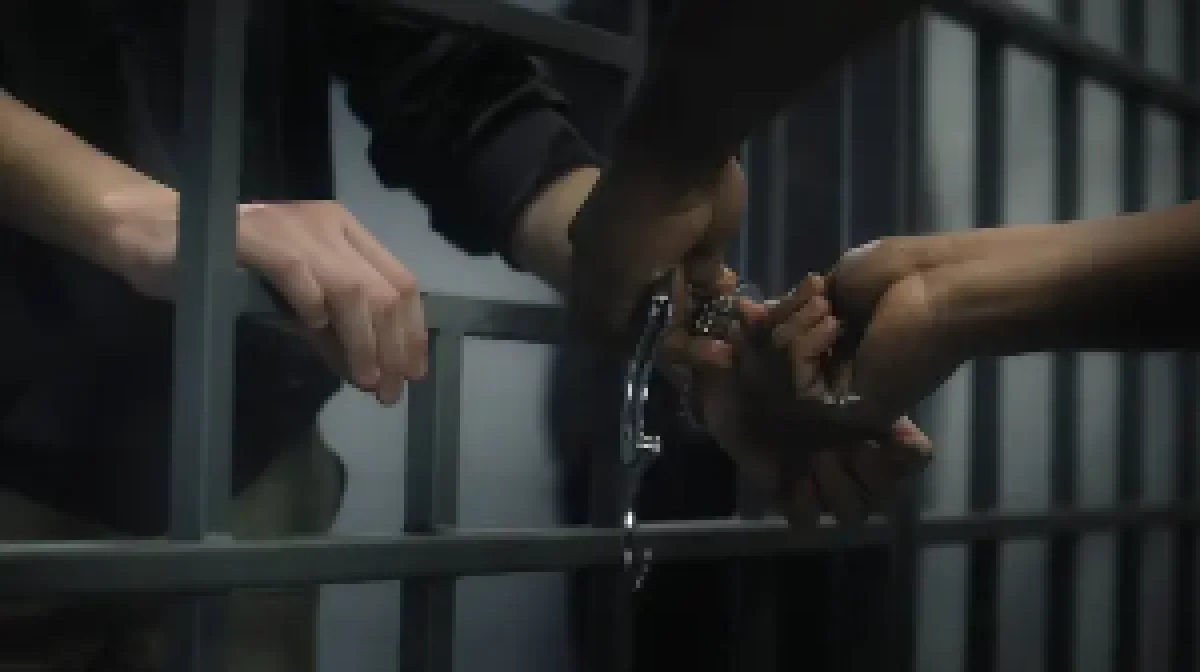 Алматыда кибералаяқтықпен айналысқан шетелдіктер ұсталды