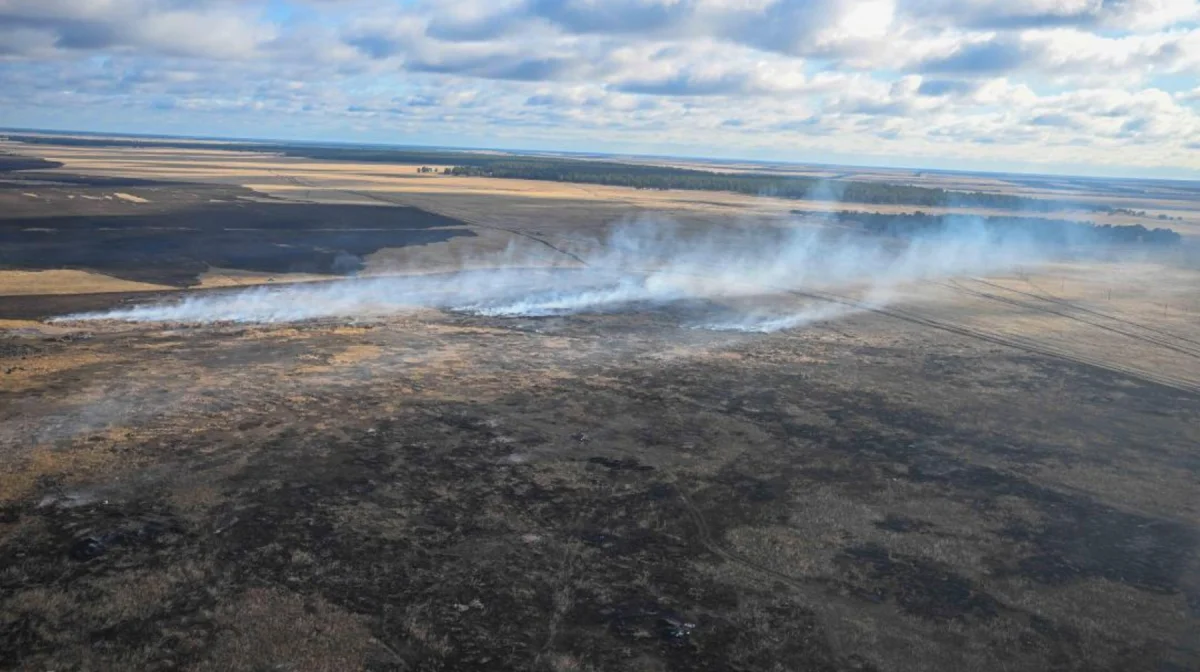 1200 гектар: Абай облысында алапат өрт болды