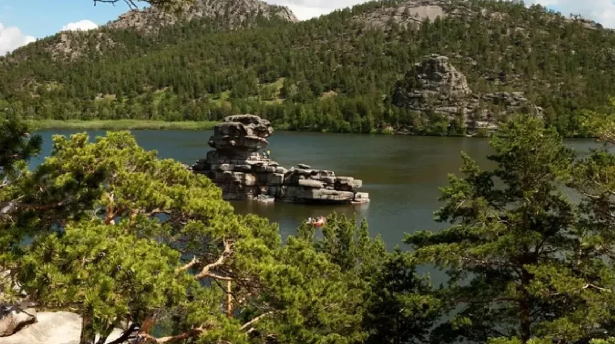 Табиғат та табыс көзі: Өңірлік әкімдіктерге жаңа өкілеттік беріледі