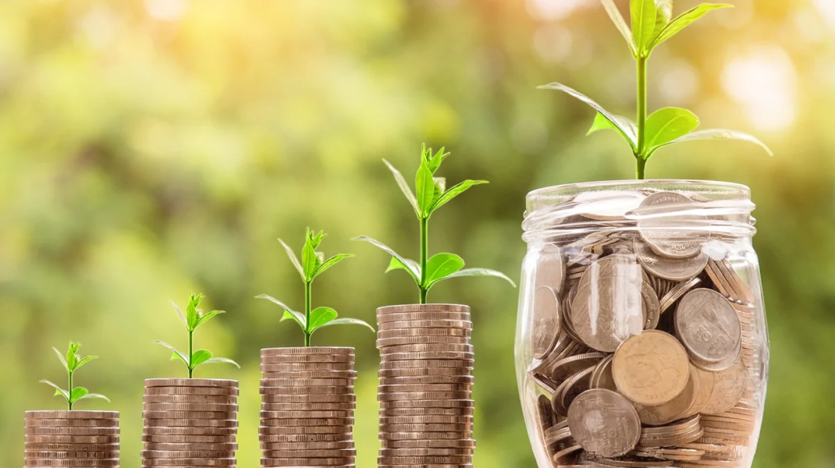 Организаторы финансовой пирамиды Qnet получили срок в Кызылорде