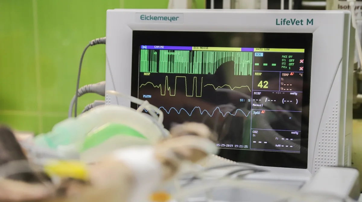 Елімізде екі айда 174 адам өз-өзіне қол жұмсап қаза тапқан