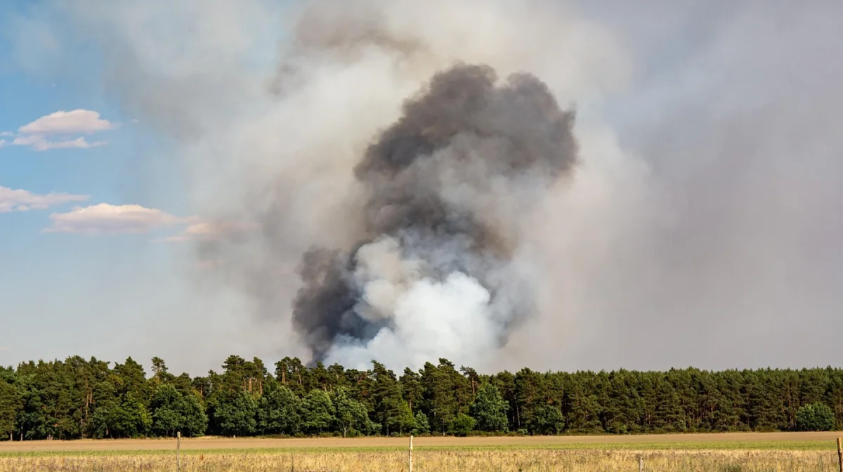 Бектенов: девять областей Казахстана не готовы к пожароопасному сезону