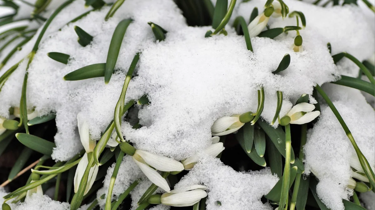 Снег и похолодание прогнозируют в Казахстане