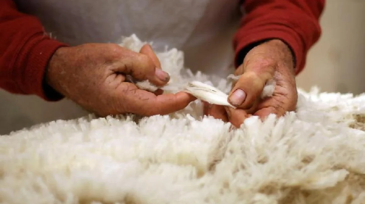 Енді тері мен жүн экспорттайтын шаруалар кедендік баж салығынан босатылады