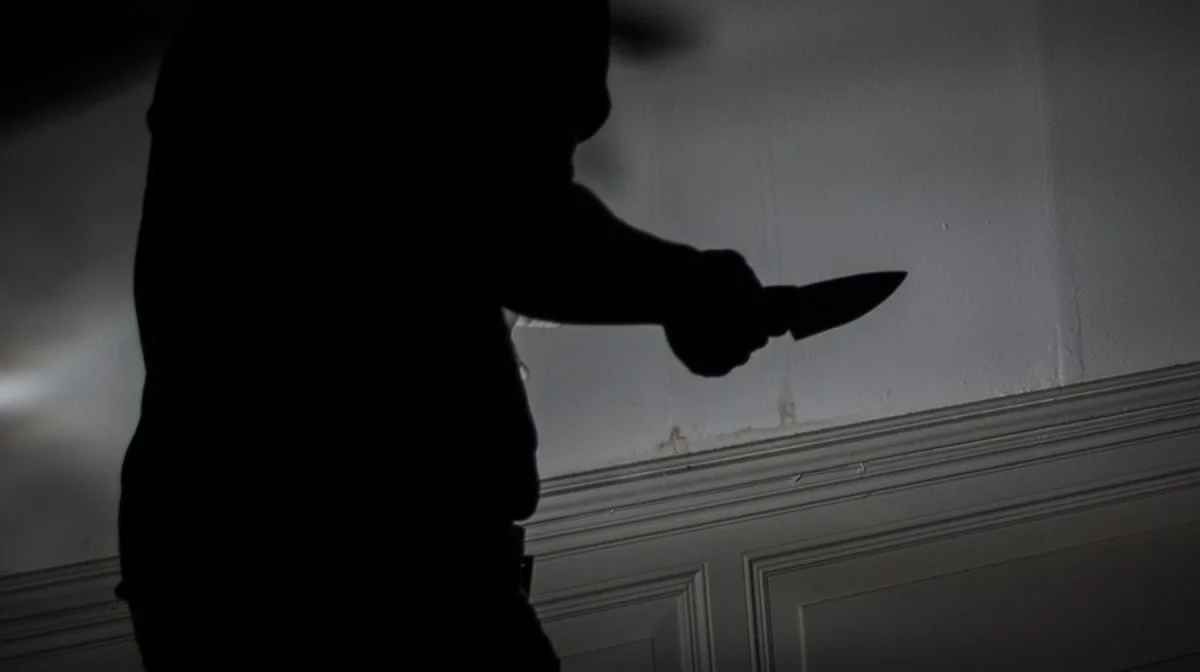 Житель Шымкента жестоко убил мать из-за детских обид