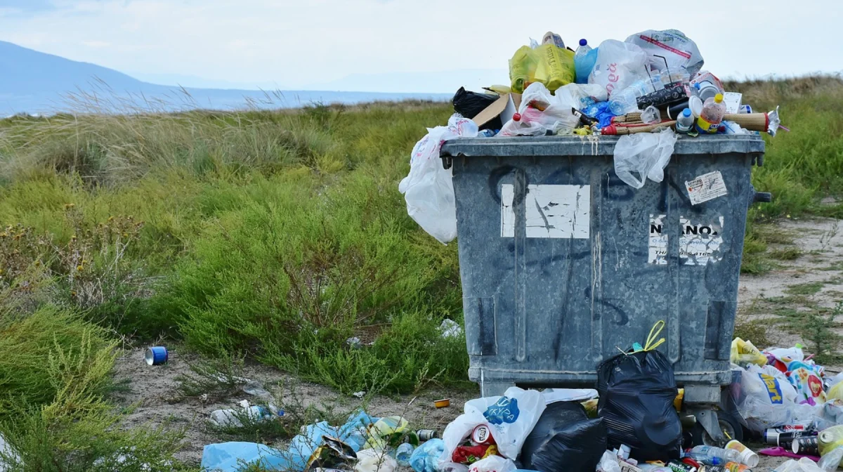 Ветераны, многодетные и пенсионеры в ВКО получат скидки на вывоз мусора