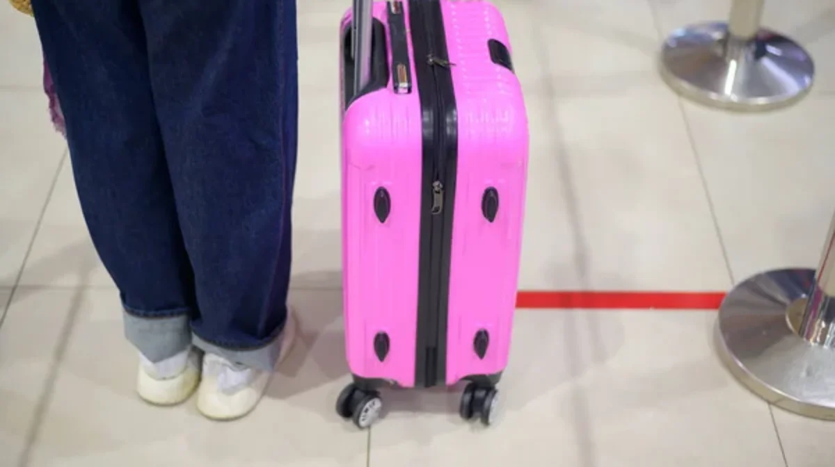 Kids Go Free: жазғы демалыста балалармен қайда баруға болады