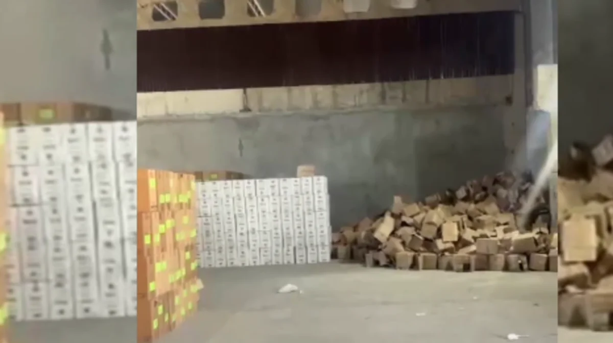 9,3 млн қорап: Қырғызстаннан темекі тасып байығандар 8 жылға қамалды