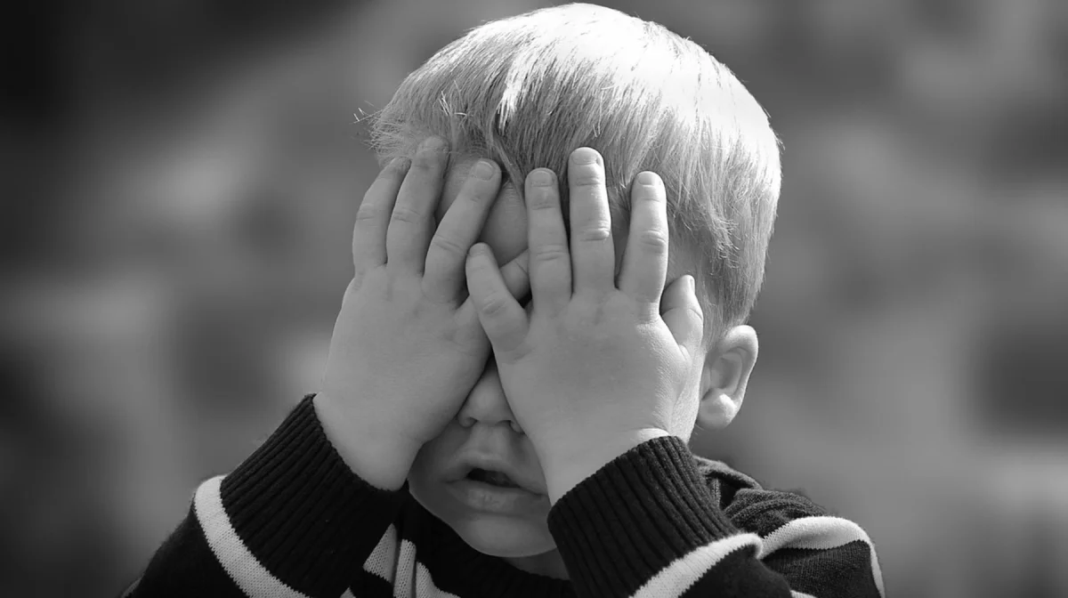 В интернете распространяются мультфильмы, провоцирующие агрессию у детей