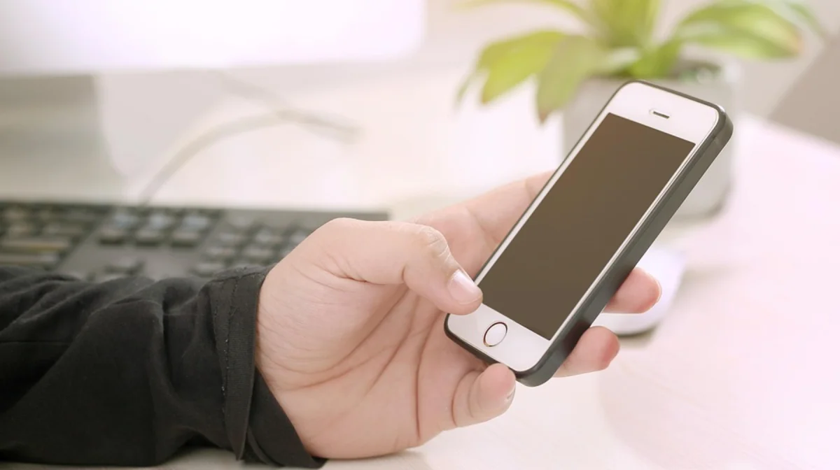 До 80 млрд тенге налогов недополучил Казахстан из-за «серого» импорта смартфонов