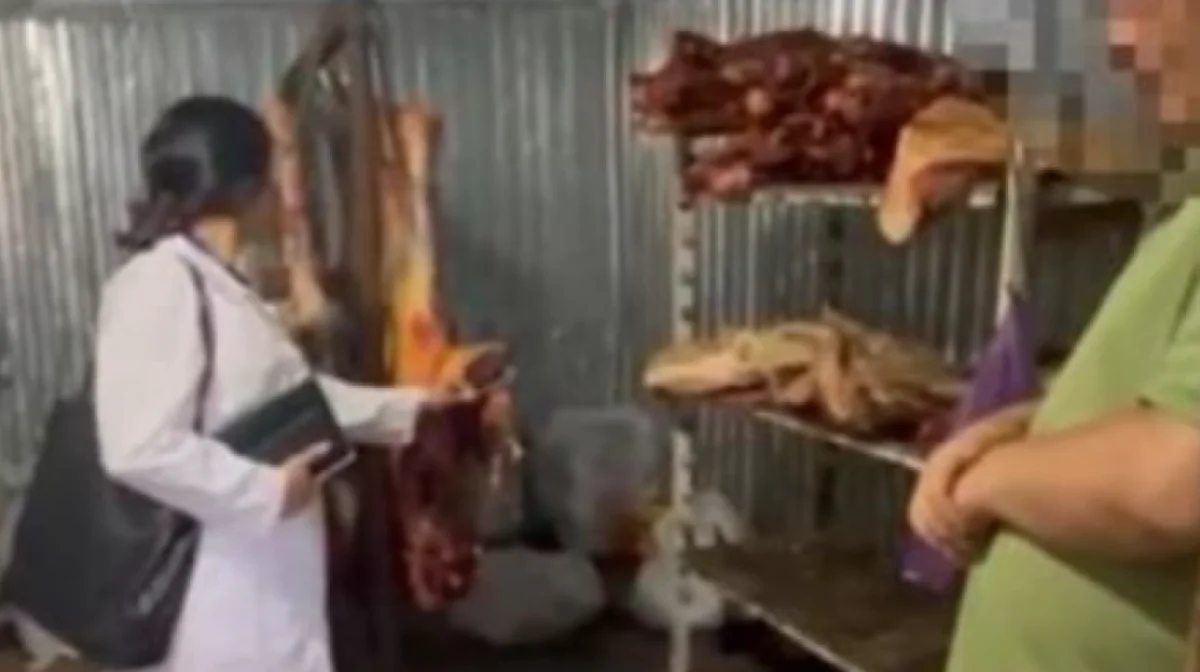 Гнилое мясо в продаже: подпольное производство обнаружено в Астане