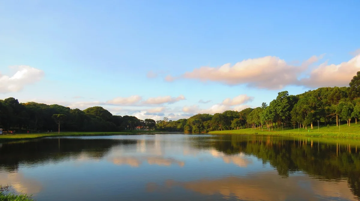 Деньги мимо природы? Глава резервации «Бокейорда» задержан за хищения