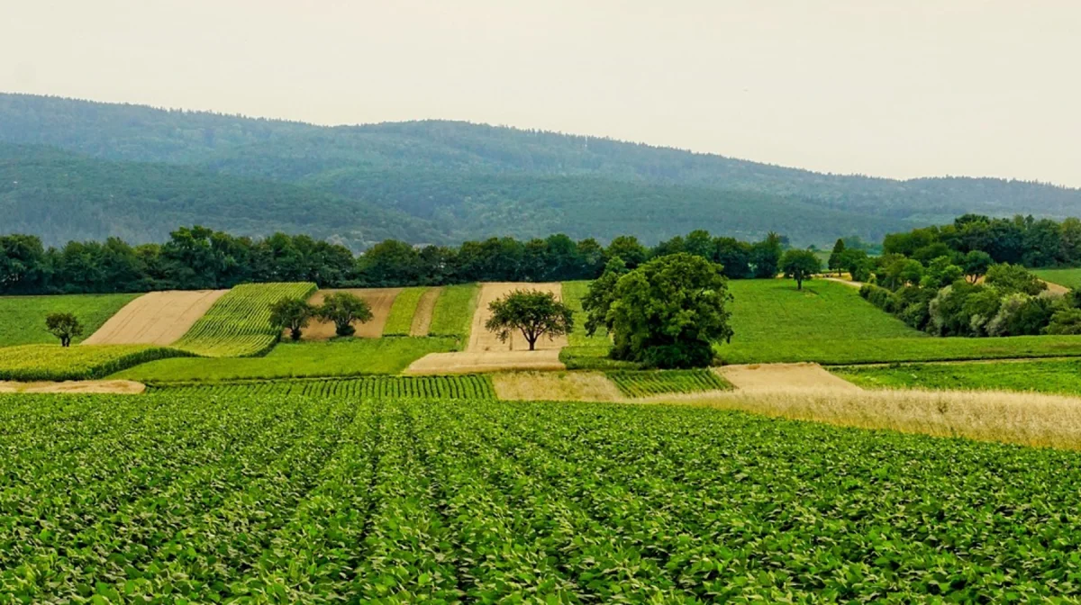3,7 млрд тенге потратят на сельхозперепись в Казахстане