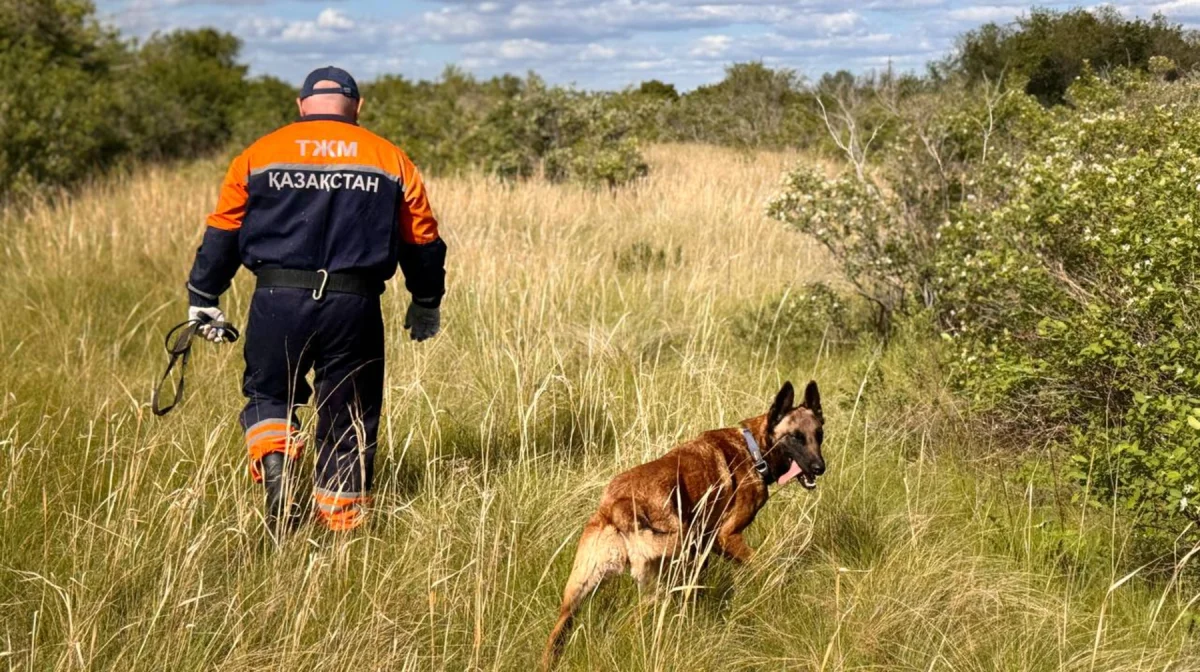 Без жилья и с низкой зарплатой: сенаторы призвали изменить жизнь казахстанских спасателей